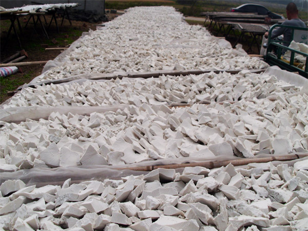 榮譽(yù)資質(zhì)